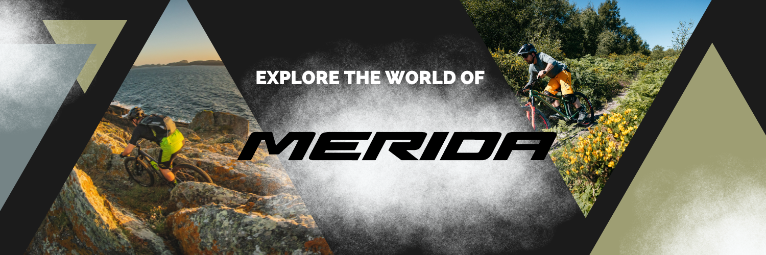 Explore the world of Merida!