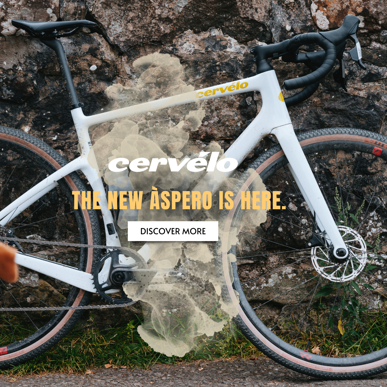 Discover the new Aspero at Jonito